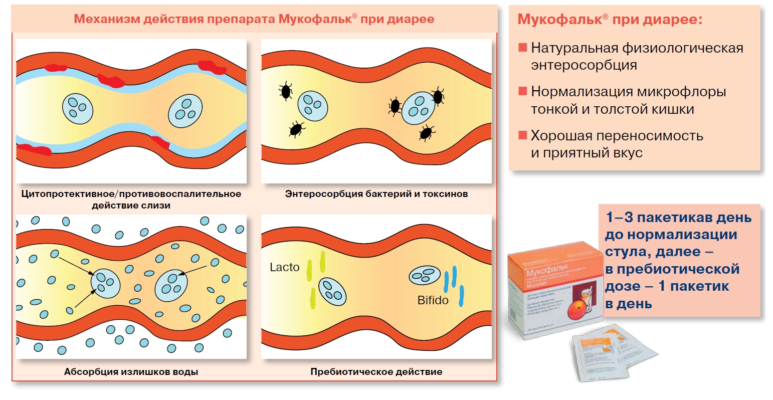 Механизм действия Мукофальк при диарее