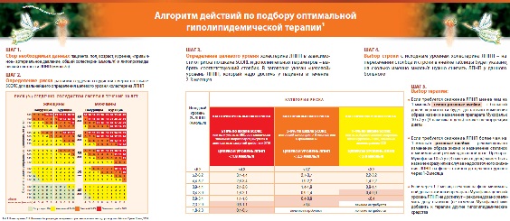 Алгоритм действий по подбору оптимальной гиполипидемической терапии